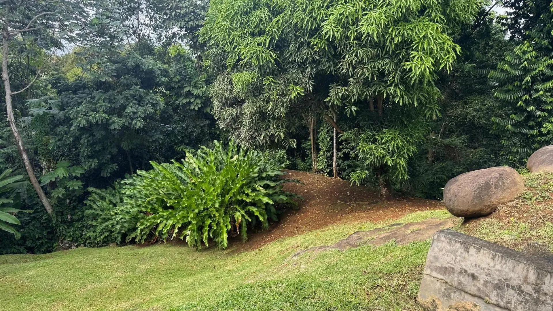 Aluna Ecolodge Petit-Bourg