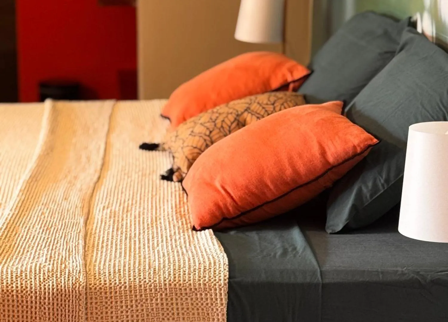 Aluna Ecolodge Petit-Bourg